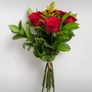 Buquê de 6 Rosas Vermelhas