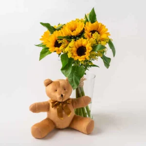 Girassóis em Vaso e Pelúcia