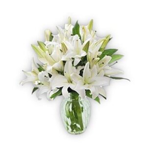 Arranjos de Flores de Lírios para presentes de condolências