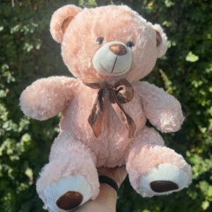 Urso de Pelúcia Grande