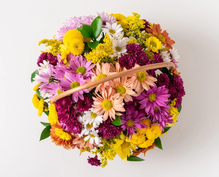 Cesta de Margaridas Coloridas - Imagem 2