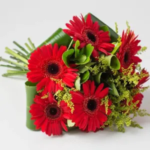 Buquê de 6 Gérberas de Mesma Cor