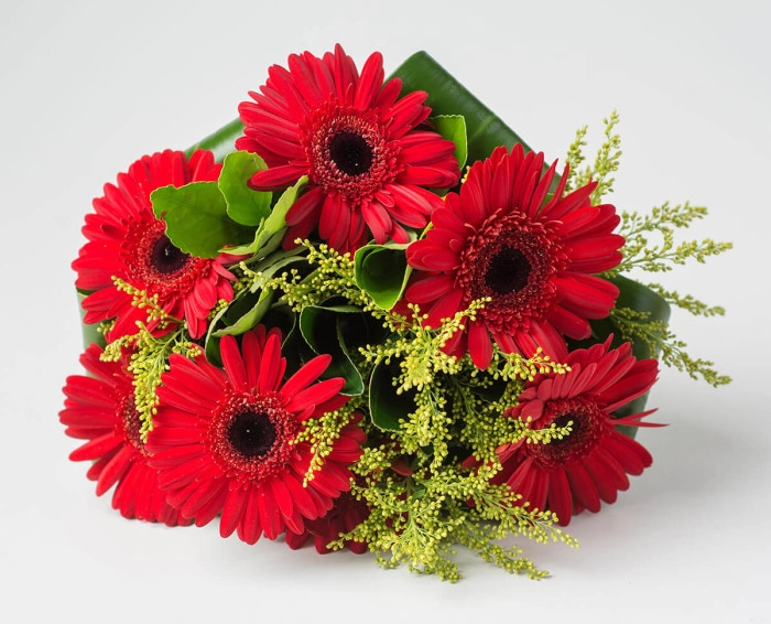 Buquê de 6 Gérberas de Mesma Cor - Imagem 2