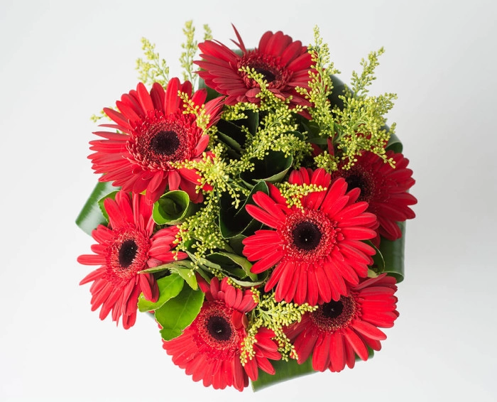 Buquê de 6 Gérberas de Mesma Cor - Imagem 3